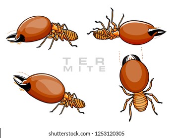 Termite set isolated on white background. Vector illustration.