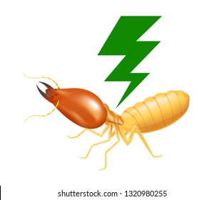 Termite With Thunder Symbol Green Isolated On White Background, Logo Insects Termite And Thunder Flash, Termite Thunder Symbol For Flat Icons Info Graphic, Termites Icon For Chemical Spray Products