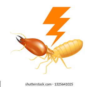 termite with thunder symbol orange isolated on white background, logo insects termite and thunder flash, termite thunder symbol for flat icons info graphic, termites icon for chemical spray products