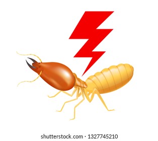 termite with thunder symbol red isolated on white background, logo insects termite and thunder flash, termite thunder symbol for flat icons info graphic, termites icon for chemical spray products