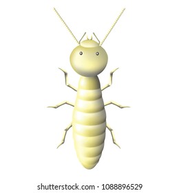 termite vector close up isolated white background