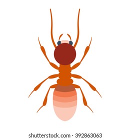 Termite vector illustration isolated on white background