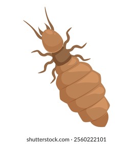 Termite walking showing its antennae and segmented body