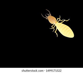Termite in watercolor style, black background, vector illustration.