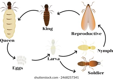 Termites are a group of detritophagous eusocial insects which consume a wide variety of decaying plant material, generally in the form of wood, leaf litter, and soil humus.