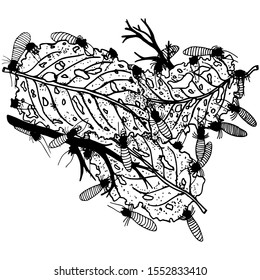 Termites and leaves design by hand drawing.