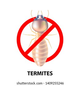Termites in red removal marks