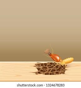 termites at wood, termite nest at wooden wall, nest termite at wood decay the door sill architrave, nest termite background and copy space, damaged wooden window door by eaten termite or white ant