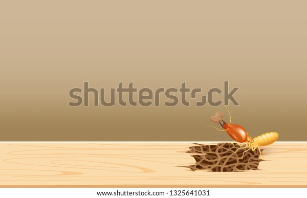 termites at wood, termite nest at wooden wall, nest\
termite at wood decay the door sill architrave, nest termite\
background and copy space, damaged wooden window door by eaten\
termite or white ant