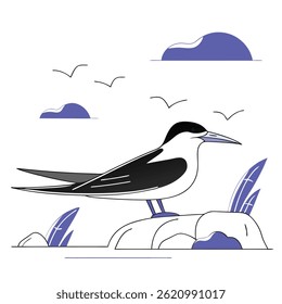 Tern Bird Illustration  Elegant Coastal and Seabird Artwork