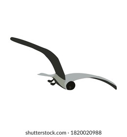 Tern bird with spread wings isolated on white. Soaring seagull. Gray colors. Vector EPS10.