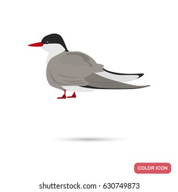 Tern color flat icon for web and mobile design