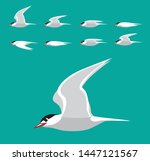 Tern Flying Animation Sequence Cartoon Vector
