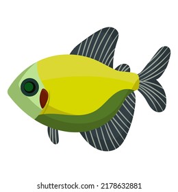 Ternetia fish aquarium water animal nature and vector underwater aquatic art. Tropical illustration fish with tail and fin. Beautiful decorative multicolored pet drawing and ichthyology coral reef