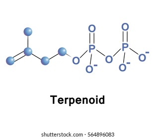 Terpenoid Molecular Structure. Vector Medical Illustration.