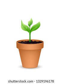 Terra cotta Flower pot with the soil and young plant,
Vector illustration isolated on white background