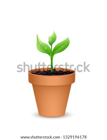 Terra cotta Flower pot with the soil and young plant,
Vector illustration isolated on white background
