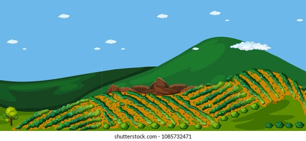 Terrace Agriculture technique at Hill illustration