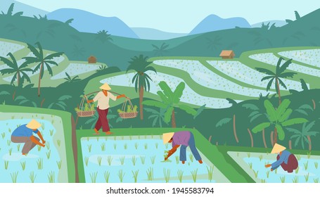 Terraced Asian Rice Fields In Mountains With Workers In Conical Straw Hats. Traditional Agriculture. Vector Illustration.