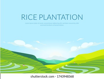 Terraced plantation poster flat vector template. Chinese rice fields. Tea plantations. Brochure, booklet one page concept design with illustration. Agricultural paddy slopes flyer, leaflet