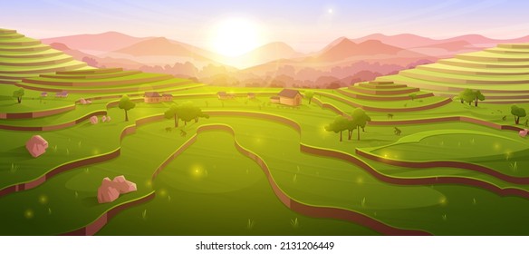 Terraced rice fields at sunrise, sunny morning chinese farmland at mountain landscape. Asian cascade plantation, scenery agriculture meadow with plants in China or Vietnam, Cartoon vector illustration