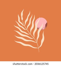 Terracotta abstraction minimalist design. Boho modern minimal wall art print, trendy flat style. Leaflet, poster or layout, abstract shapes, grunge texture tropical palm leaf, brush drawing