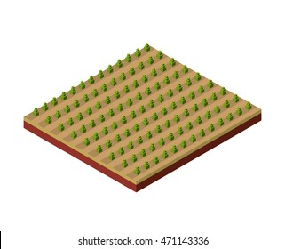 terrain isometric isolated icon vector illustration design