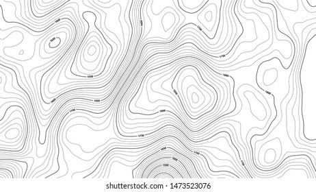 Stylized Height Topographic Contour Lines Contours Stock Vector 