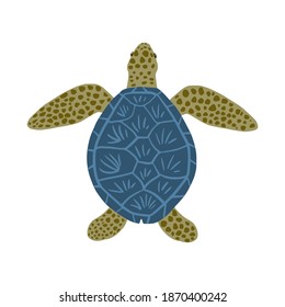 Terrapin isolated on white background. Cute cartoon character turtle. Doodle vector illustration.