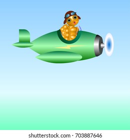 Terrapin - a pilot in plane
