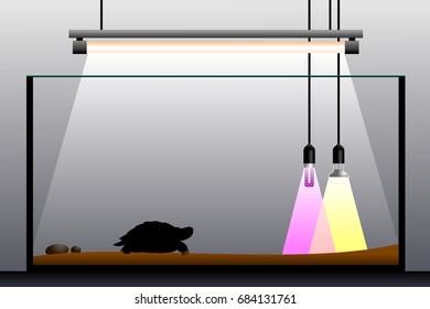 Terrarium equipment. Schematic representation of the terrarium. Vector illustration.
