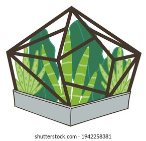 Terrarium with growing succulents and tropical leaves, isolated glass pot with plants. Miniature botanical flowers. Evergreen decor for home, houseplant florist composition. Vector in flat style