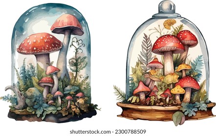 Terrarium with  mushrooms clipart, isolated vector illustration.