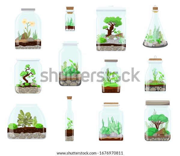 Terrarium Nature green plant in glass garden,\
plant on decoration natural botany vector cartoon illustration\
isolated on white. Ecosystem grow in terrarium bottle compose.\
Succulent, tree,\
flower