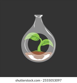 Terrarium Plant with Soil in Glass Bottle Vector