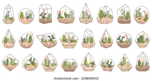 Terrarium for plants flat icons set. Small and enclosed environment for cactus, succulent, aloe vera. Mini-greenhouse. Houseplant in glass jar. Color isolated illustrations