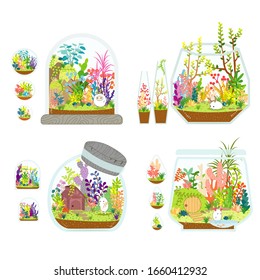 Terrarium plants vector nature illustration