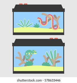 Terrariums for a snake and chameleon in flat style. Vector illustration of reptile tanks for pet shop.