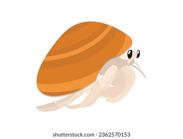 Terrestrial hermit crab in Indonesia called kelomang  is an animal that has variety shells  Funny vector art  