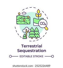 Ícone de conceito multi-cor de sequestro terrestre. Captura de carbono, florestação. Ambiente, natureza. Ilustração de linha de forma redonda. Ideia abstrata. Design gráfico. Infográfico fácil de usar