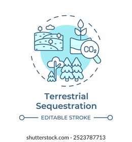 Terrestrial Sequestration Softblue Concept Icon. Kohlenstoffabscheidung, Aufforstung. Umwelt, Natur. Runde Liniendarstellung. Abstrakte Idee. Grafikdesign. Benutzerfreundliche Infografik