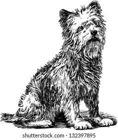 terrier