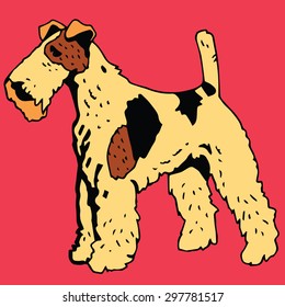 Terrier Dog