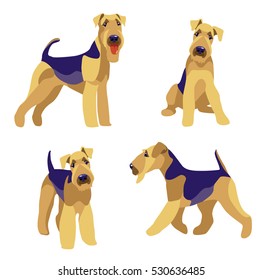 Terrier dog, Airedale Terrier on white background vector illustration, clip art, cartoon. Colorful.