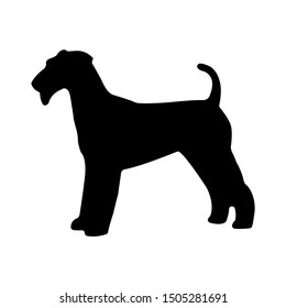 Terrier Dog icon - From pets, vet and veterinary icons, Animal icons