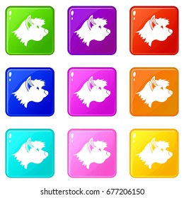 Terrier dog icons of 9 color set isolated vector illustration