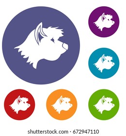 Terrier dog icons set in flat circle reb, blue and green color for web