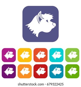 Terrier dog icons set vector illustration in flat style In colors red, blue, green and other