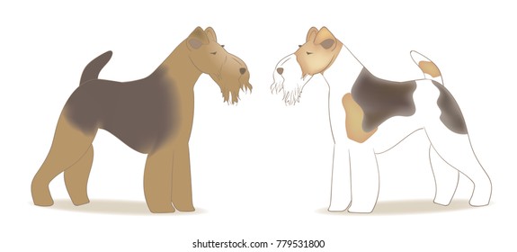terrier dog image set