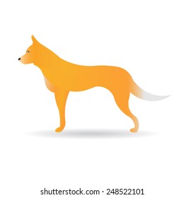 Terrier dog on white background. Vector pet animal